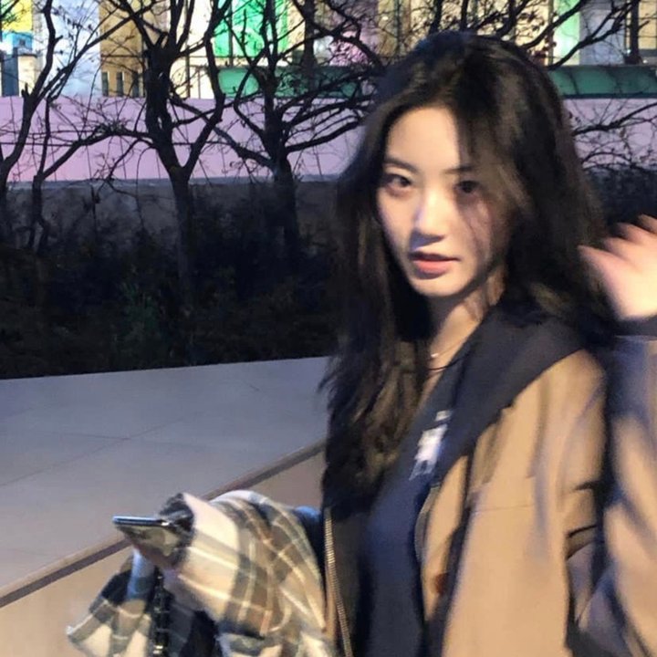 梅花档案